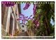 Thumbnail-9