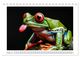 Thumbnail-2