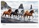 Thumbnail-11