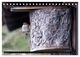 Thumbnail-11