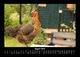 Thumbnail-12