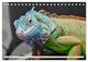 Thumbnail-13