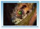 Thumbnail-12