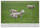 Thumbnail-13