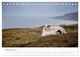 Thumbnail-14