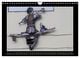 Thumbnail-13