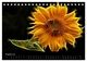 Thumbnail-10