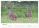 Thumbnail-10