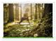 Thumbnail-8