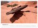 Thumbnail-14