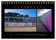 Thumbnail-9