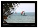 Thumbnail-13