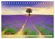 Thumbnail-10
