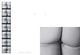 Thumbnail-11