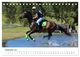 Thumbnail-14