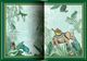Thumbnail-14