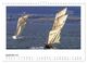 Thumbnail-14