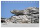 Thumbnail-12