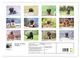 Thumbnail-4