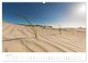 Thumbnail-8