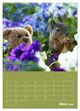 Thumbnail-8