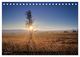 Thumbnail-11