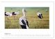 Thumbnail-10