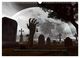 Thumbnail-11