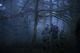 Thumbnail-9