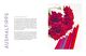 Thumbnail-11
