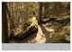 Thumbnail-8
