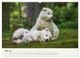 Thumbnail-10