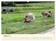 Thumbnail-11