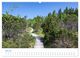 Thumbnail-8