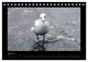 Thumbnail-12