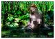 Thumbnail-10