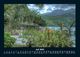 Thumbnail-11