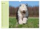 Thumbnail-9