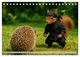 Thumbnail-11