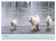 Thumbnail-11