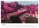 Thumbnail-9