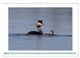 Thumbnail-10