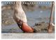 Thumbnail-11