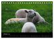 Thumbnail-12