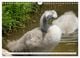 Thumbnail-11