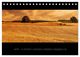 Thumbnail-10