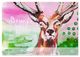 Thumbnail-8