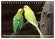 Thumbnail-14