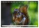 Thumbnail-9
