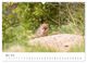 Thumbnail-9